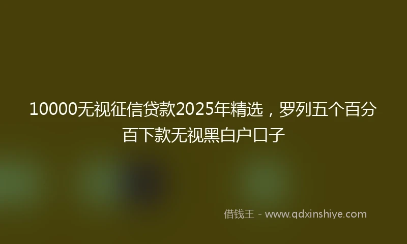 10000无视征信贷款2025年精选，罗列五个百分百下款无视黑白户口子