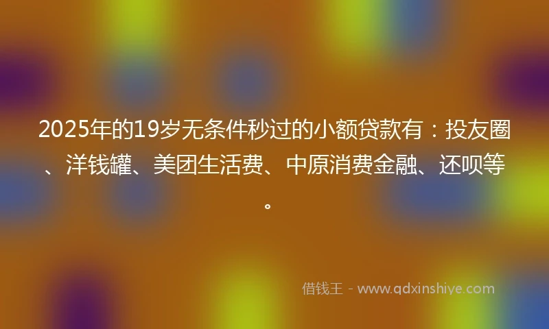 2025年的19岁无条件秒过的小额贷款有：投友圈、洋钱罐、美团生活费、中原消费金融、还呗等。