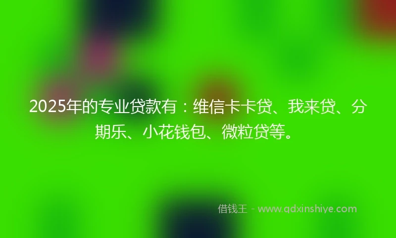 2025年的专业贷款有：维信卡卡贷、我来贷、分期乐、小花钱包、微粒贷等。