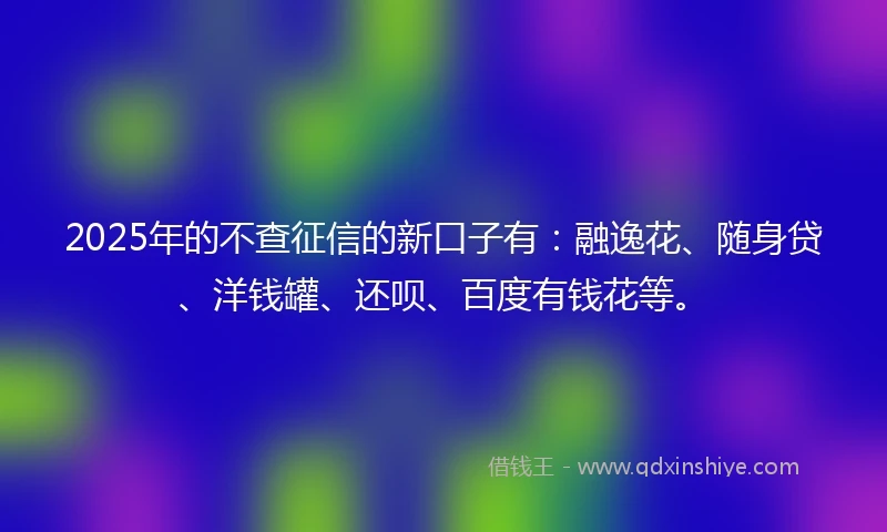 2025年的不查征信的新口子有：融逸花、随身贷、洋钱罐、还呗、百度有钱花等。