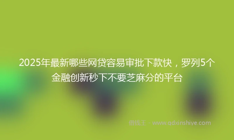 2025年最新哪些网贷容易审批下款快，罗列5个金融创新秒下不要芝麻分的平台