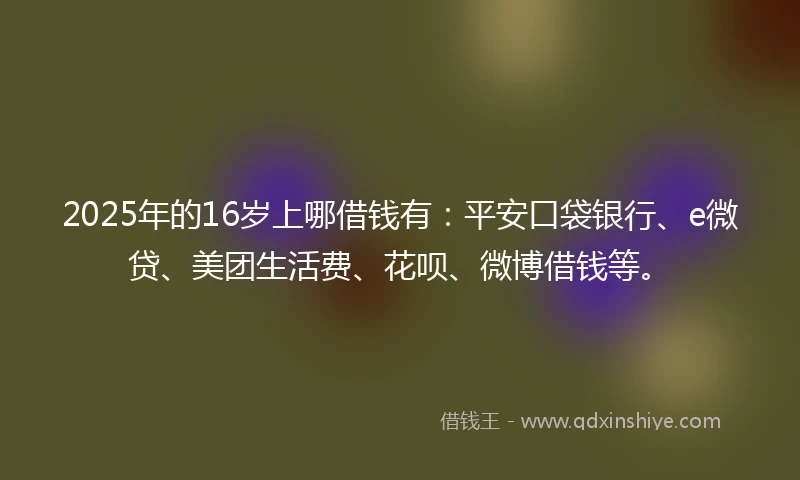 2025年的16岁上哪借钱有：平安口袋银行、e微贷、美团生活费、花呗、微博借钱等。