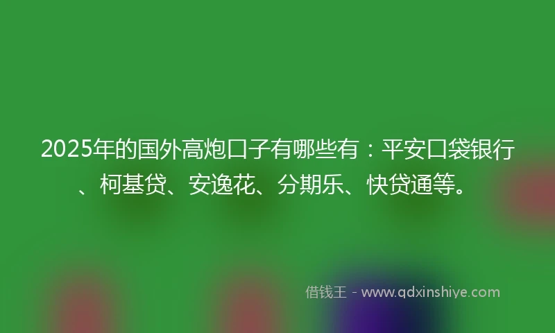 2025年的国外高炮口子有哪些有：平安口袋银行、柯基贷、安逸花、分期乐、快贷通等。