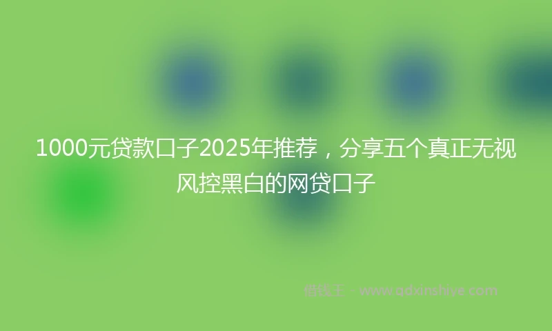 1000元贷款口子2025年推荐，分享五个真正无视风控黑白的网贷口子