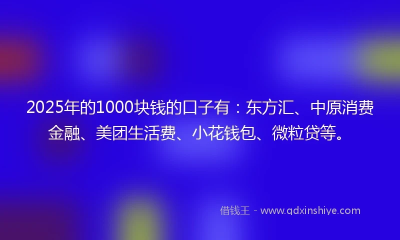 2025年的1000块钱的口子有：东方汇、中原消费金融、美团生活费、小花钱包、微粒贷等。