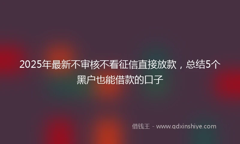 2025年最新不审核不看征信直接放款，总结5个黑户也能借款的口子
