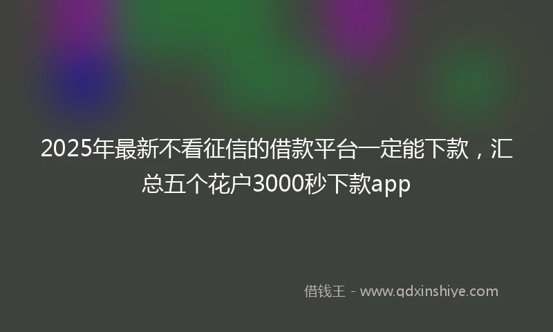2025年最新不看征信的借款平台一定能下款，汇总五个花户3000秒下款app