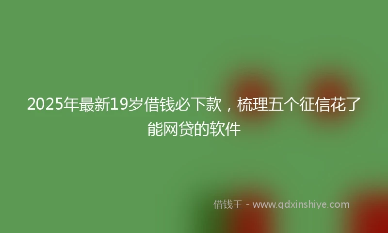 2025年最新19岁借钱必下款，梳理五个征信花了能网贷的软件