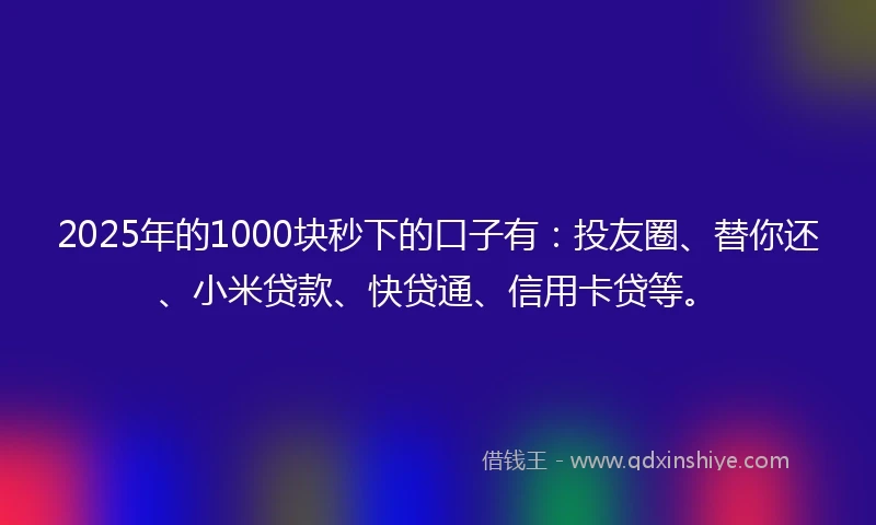 2025年的1000块秒下的口子有：投友圈、替你还、小米贷款、快贷通、信用卡贷等。