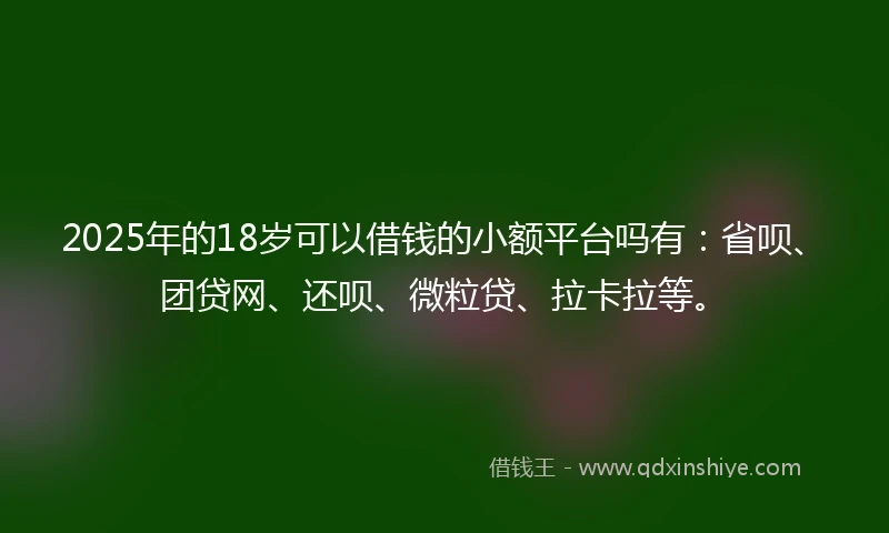 2025年的18岁可以借钱的小额平台吗有：省呗、团贷网、还呗、微粒贷、拉卡拉等。