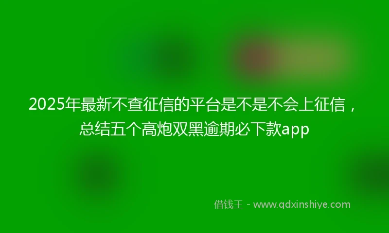 2025年最新不查征信的平台是不是不会上征信，总结五个高炮双黑逾期必下款app