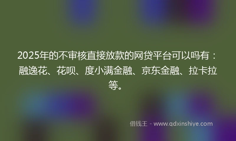 2025年的不审核直接放款的网贷平台可以吗有：融逸花、花呗、度小满金融、京东金融、拉卡拉等。