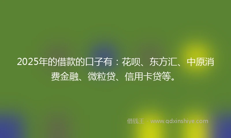 2025年的借款的口子有：花呗、东方汇、中原消费金融、微粒贷、信用卡贷等。