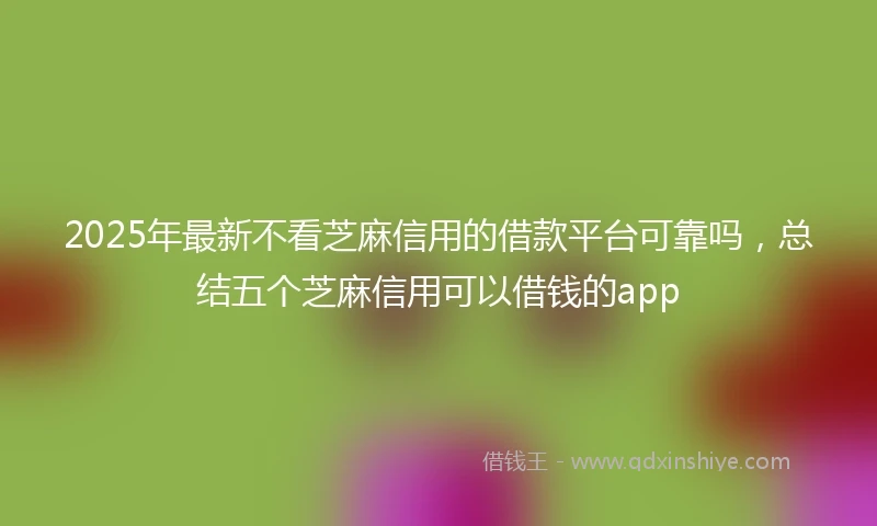 2025年最新不看芝麻信用的借款平台可靠吗，总结五个芝麻信用可以借钱的app
