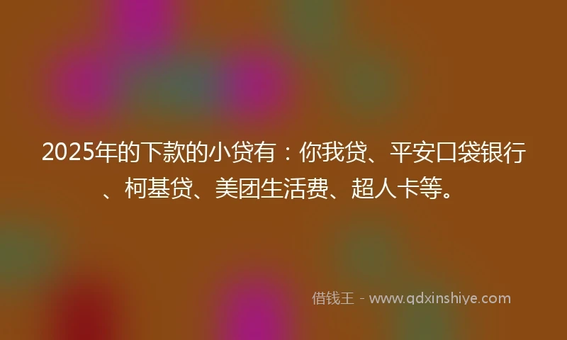2025年的下款的小贷有：你我贷、平安口袋银行、柯基贷、美团生活费、超人卡等。