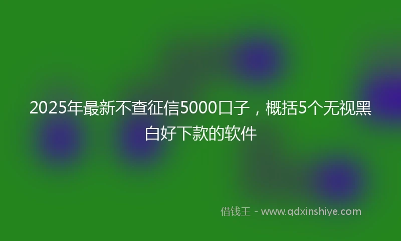 2025年最新不查征信5000口子，概括5个无视黑白好下款的软件