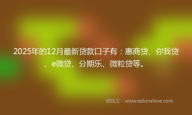 2025年的12月最新贷款口子有：惠商贷、你我贷、e微贷、分期乐、微粒贷等。