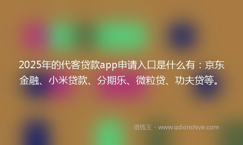 2025年的代客贷款app申请入口是什么有：京东金融、小米贷款、分期乐、微粒贷、功夫贷等。