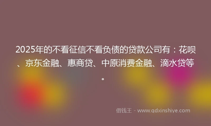 2025年的不看征信不看负债的贷款公司有：花呗、京东金融、惠商贷、中原消费金融、滴水贷等。