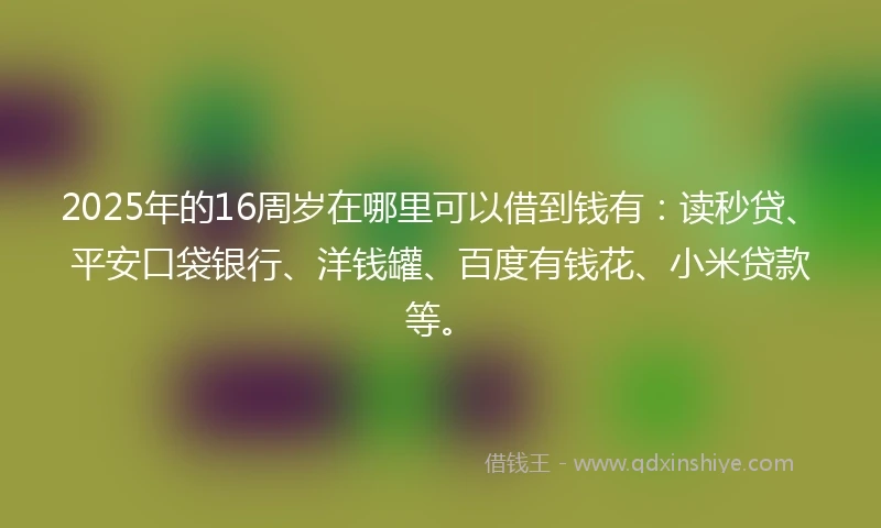 2025年的16周岁在哪里可以借到钱有：读秒贷、平安口袋银行、洋钱罐、百度有钱花、小米贷款等。