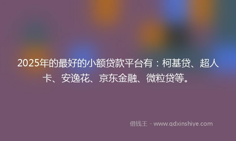 2025年的最好的小额贷款平台有：柯基贷、超人卡、安逸花、京东金融、微粒贷等。