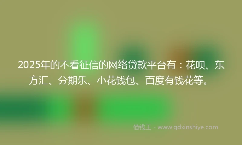 2025年的不看征信的网络贷款平台有：花呗、东方汇、分期乐、小花钱包、百度有钱花等。