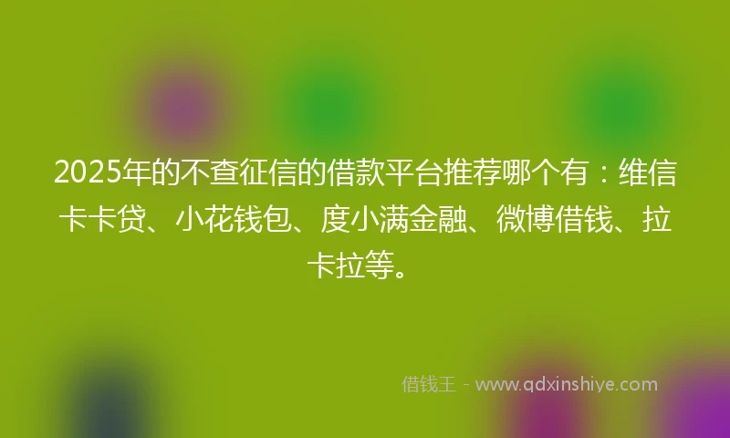 2025年的不查征信的借款平台推荐哪个有：维信卡卡贷、小花钱包、度小满金融、微博借钱、拉卡拉等。