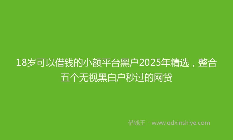 18岁可以借钱的小额平台黑户2025年精选，整合五个无视黑白户秒过的网贷