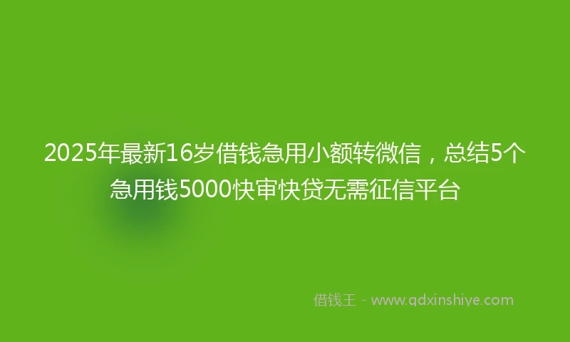 2025年最新16岁借钱急用小额转微信，总结5个急用钱5000快审快贷无需征信平台