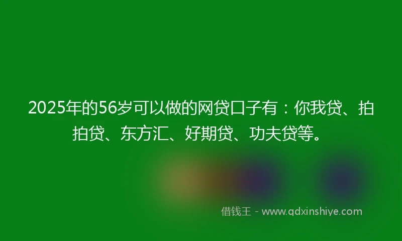 2025年的56岁可以做的网贷口子有：你我贷、拍拍贷、东方汇、好期贷、功夫贷等。