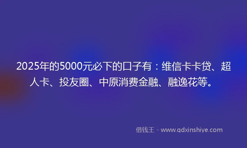 2025年的5000元必下的口子有：维信卡卡贷、超人卡、投友圈、中原消费金融、融逸花等。