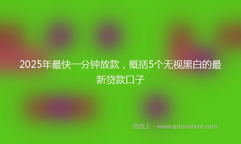 2025年最快一分钟放款，概括5个无视黑白的最新贷款口子