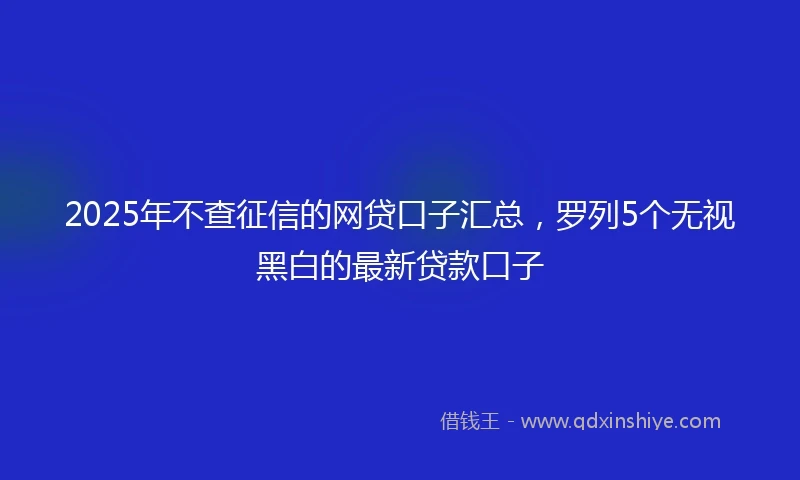 2025年不查征信的网贷口子汇总，罗列5个无视黑白的最新贷款口子