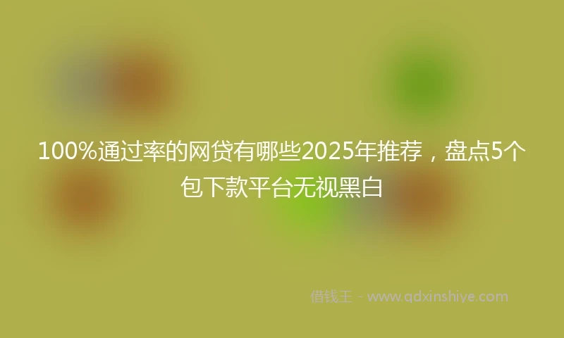 100%通过率的网贷有哪些2025年推荐，盘点5个包下款平台无视黑白