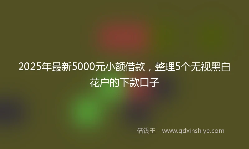 2025年最新5000元小额借款，整理5个无视黑白花户的下款口子