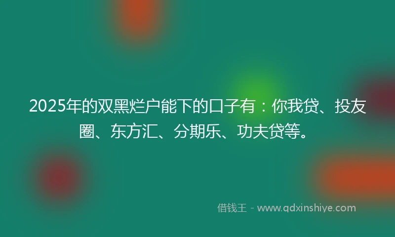 2025年的双黑烂户能下的口子有：你我贷、投友圈、东方汇、分期乐、功夫贷等。