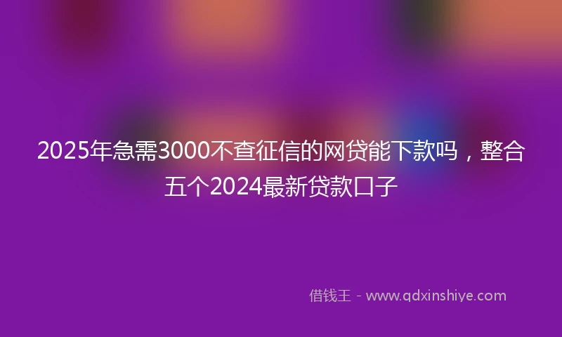 2025年急需3000不查征信的网贷能下款吗，整合五个2024最新贷款口子