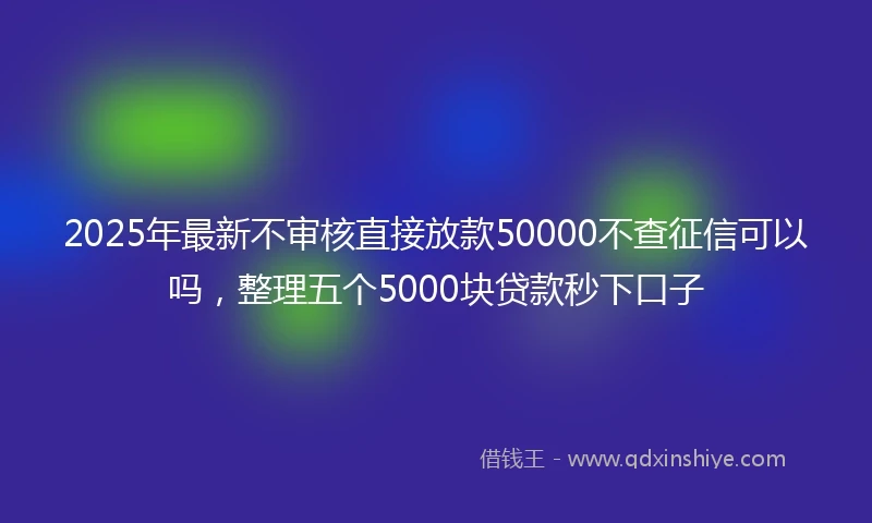 2025年最新不审核直接放款50000不查征信可以吗，整理五个5000块贷款秒下口子