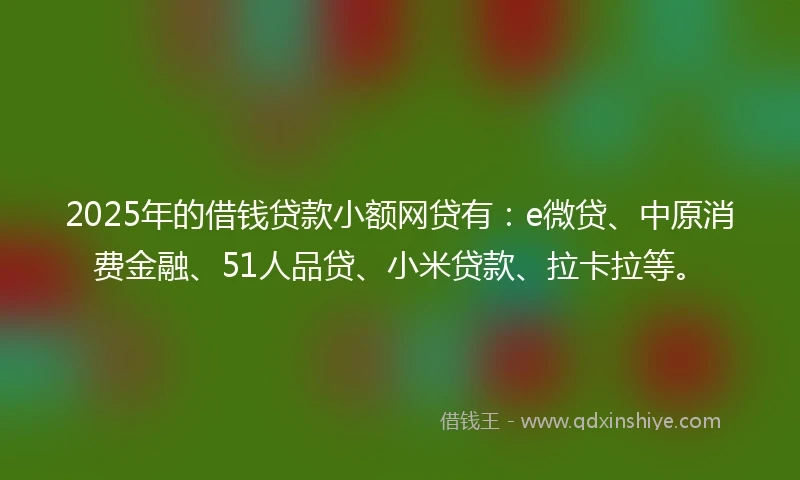 2025年的借钱贷款小额网贷有：e微贷、中原消费金融、51人品贷、小米贷款、拉卡拉等。