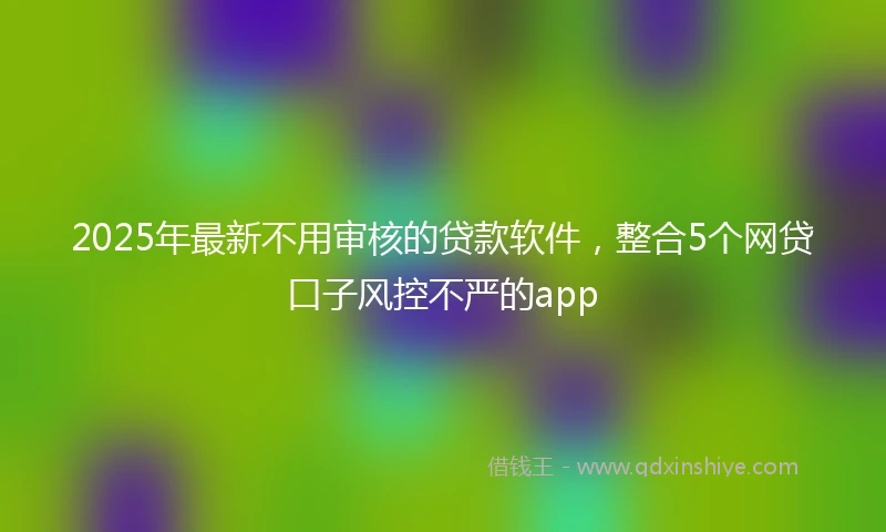 2025年最新不用审核的贷款软件，整合5个网贷口子风控不严的app
