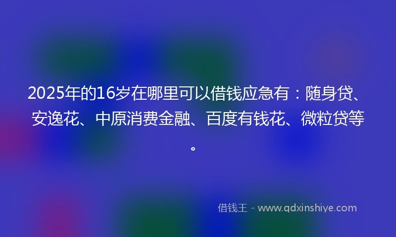 2025年的16岁在哪里可以借钱应急有：随身贷、安逸花、中原消费金融、百度有钱花、微粒贷等。