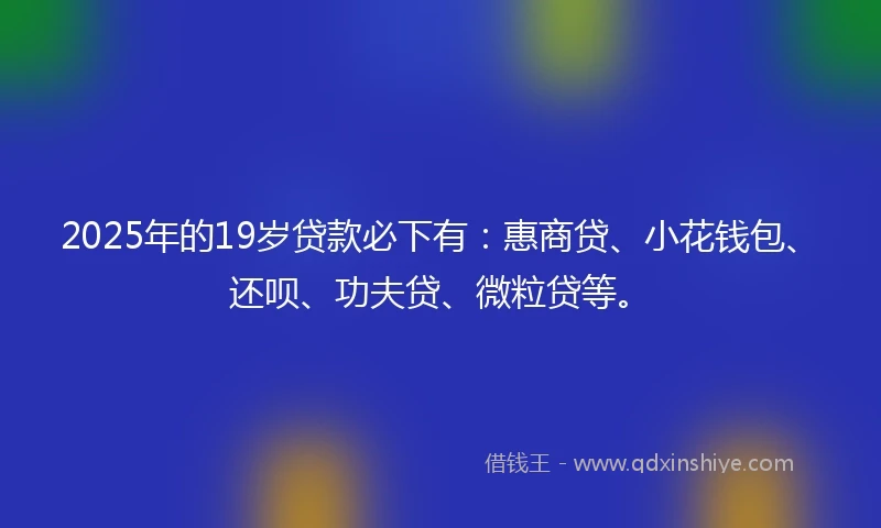 2025年的19岁贷款必下有：惠商贷、小花钱包、还呗、功夫贷、微粒贷等。