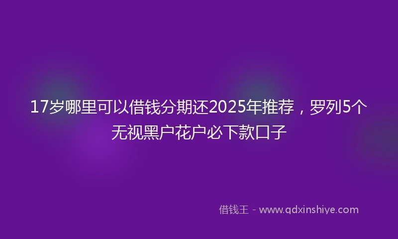 17岁哪里可以借钱分期还2025年推荐，罗列5个无视黑户花户必下款口子