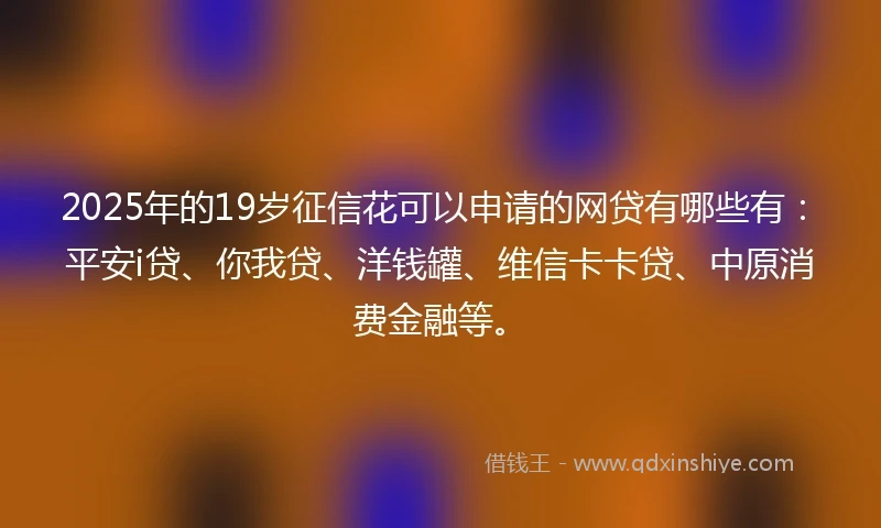 2025年的19岁征信花可以申请的网贷有哪些有：平安i贷、你我贷、洋钱罐、维信卡卡贷、中原消费金融等。