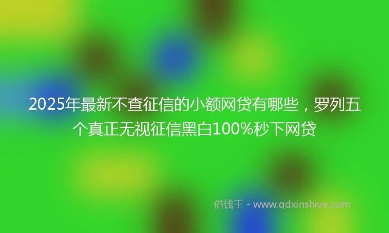 2025年最新不查征信的小额网贷有哪些，罗列五个真正无视征信黑白100%秒下网贷