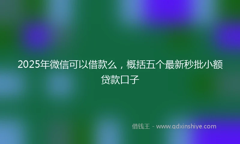 2025年微信可以借款么，概括五个最新秒批小额贷款口子