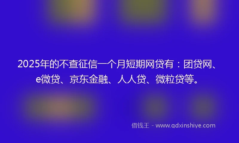 2025年的不查征信一个月短期网贷有：团贷网、e微贷、京东金融、人人贷、微粒贷等。
