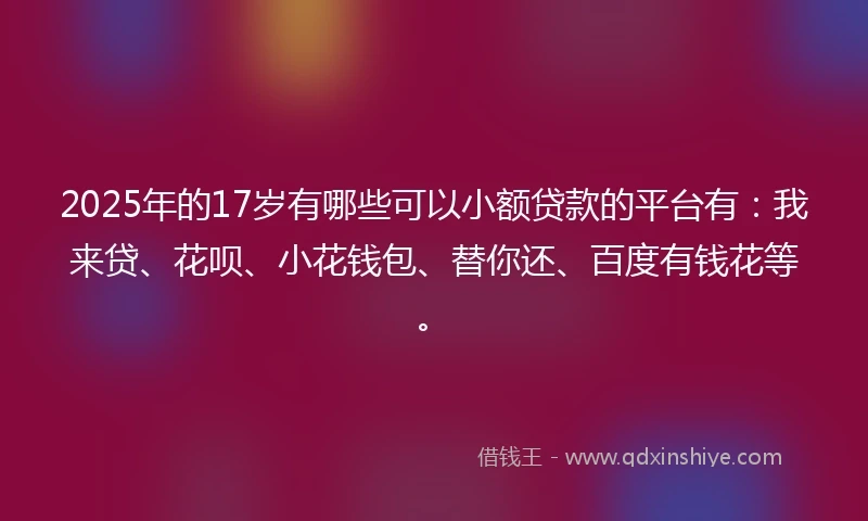 2025年的17岁有哪些可以小额贷款的平台有：我来贷、花呗、小花钱包、替你还、百度有钱花等。