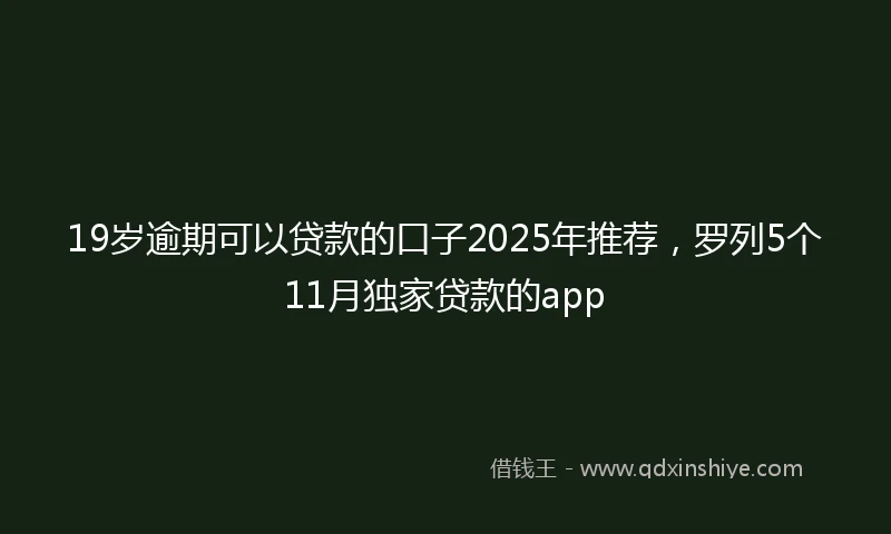 19岁逾期可以贷款的口子2025年推荐，罗列5个11月独家贷款的app