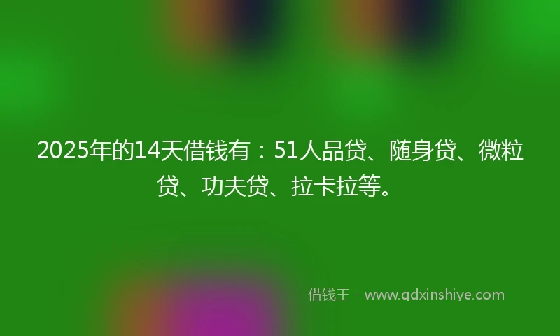 2025年的14天借钱有：51人品贷、随身贷、微粒贷、功夫贷、拉卡拉等。